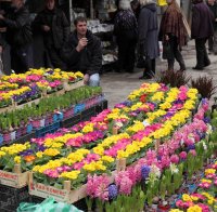 Данъчни и полицаи затягат контрола в търговските обекти за 8 март