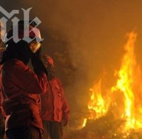 Огнен ад! Два магазина в Перник станаха на въглени!