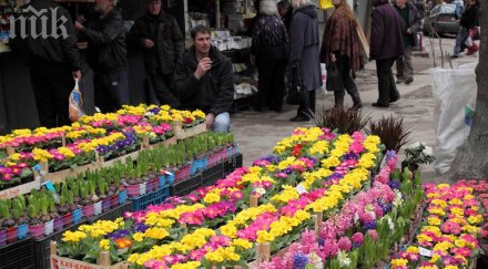 данъчни полицаи затягат контрола търговските обекти март