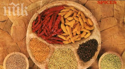 яка секира билкарите лято