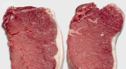 задържаха тона месо неясен произход русе съмняват кучешко