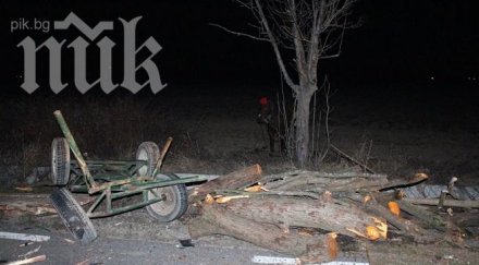 каруца предизвика катастрофа района село манолово