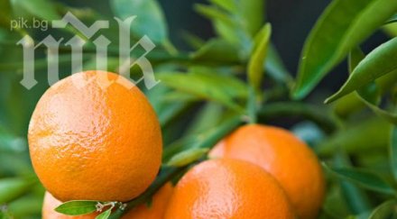 мандарини астма бронхит