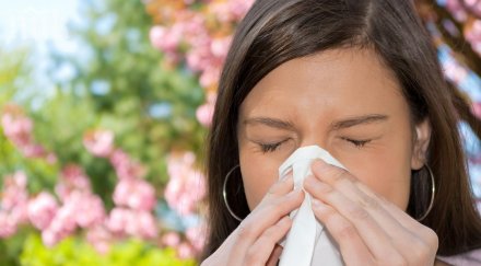 топлото време събуди алергиите въздухът разплаква