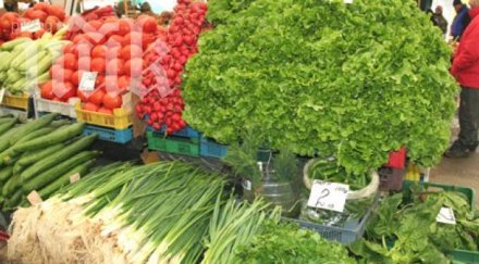 евтини гръцки марули подбиват пазара българските производители