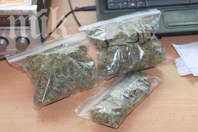 Увеличава се употребата на наркотици в Троянско