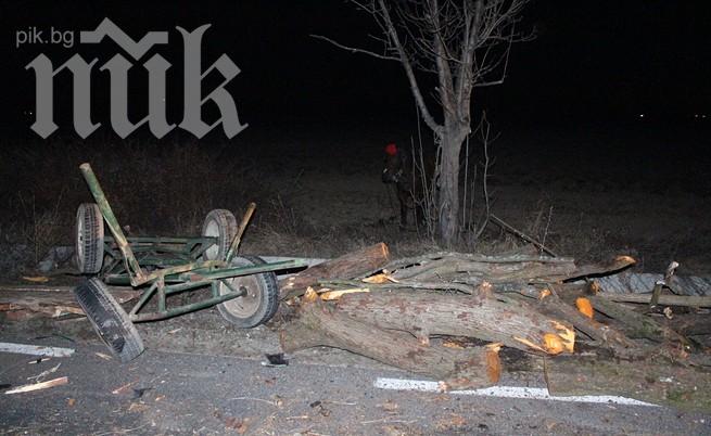 Каруца предизвика катастрофа в района на село Манолово