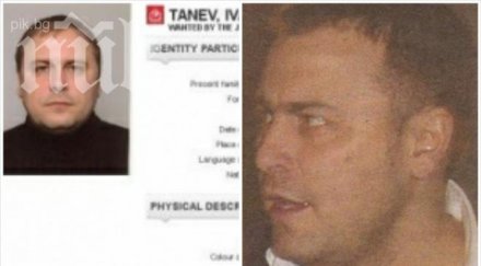 разкритие пик ортакът миньо стайков син крие дубай докато интерпол търси червена бюлетина иван универсалния семейството