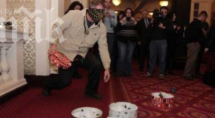 наглост къртицата пуснали пеперудите парламента