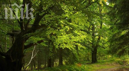 изграждат нов парк благоевградска бистрица