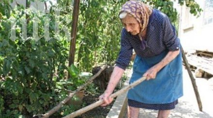 девет десет столетници жени смолянско