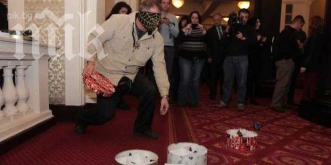 Наглост! От Къртицата пуснали пеперудите в парламента