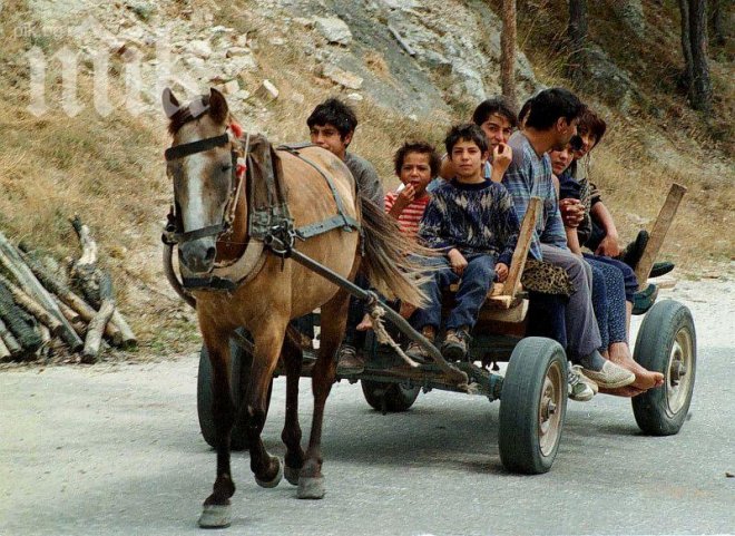 Ромска баня, гордост на НДСВ, работи на загуба