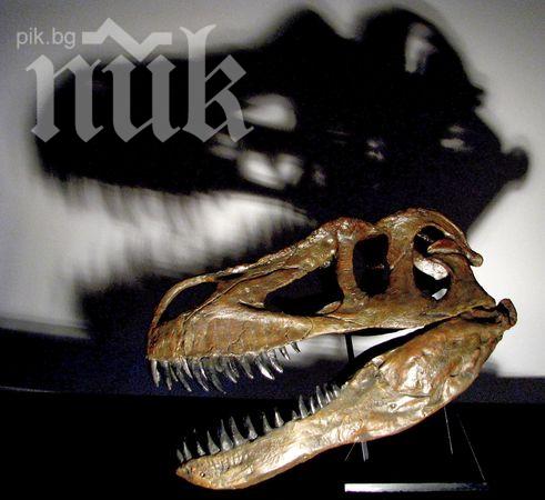 5-тонен динозавър вилнял из Европа