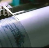 Силно земетресение разтресе Индонезия
