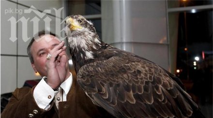 търгуват черно билети лудогорец валенсия