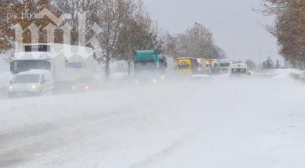 снегът остави свиленград любимец без ток