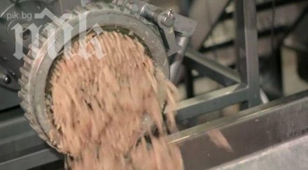 ужас сърбите ядат огромни количества смъртоносно месо умрели животни