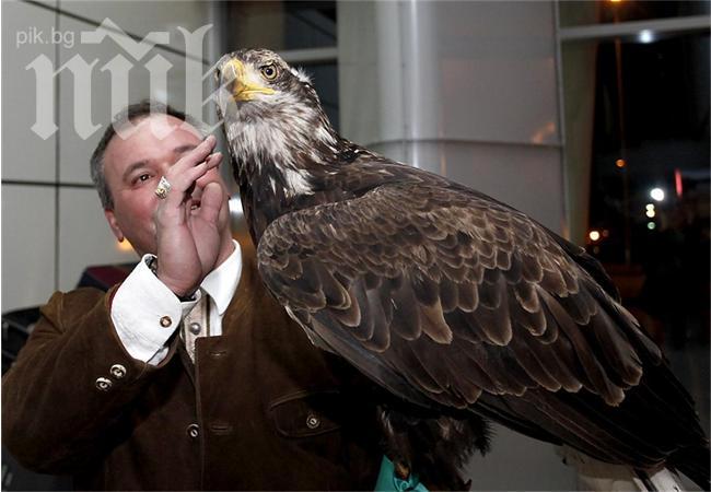 Търгуват на черно билети за Лудогорец - Валенсия