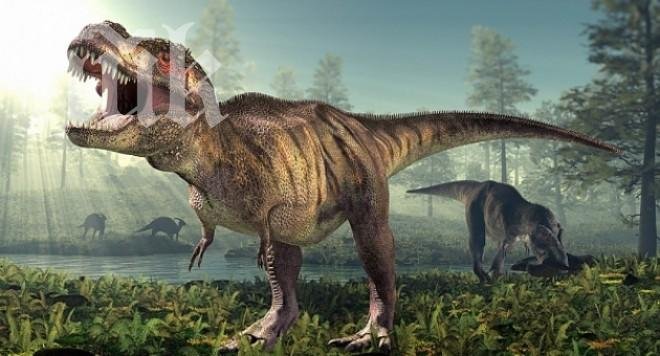 Сяра в Океана уморила динозаврите