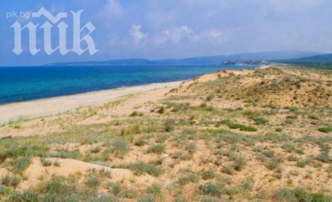 Дюни край Несебър се превърнаха в гора, бизнес-дама иска да строи там 115 сгради