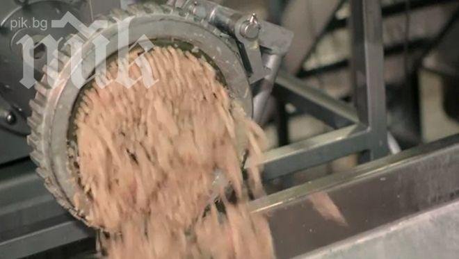 Ужас! Сърбите ядат огромни количества смъртоносно месо от умрели животни