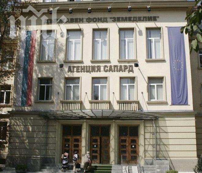 Пловдивчанка поема парите по САПАРД
