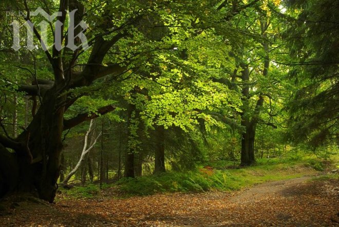 Две министерства се съдят заради Асоциация на парковете в България