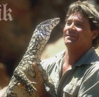 Ловецът на крокодили Стив Ъруин намушкан стотици пъти от ската, който го уби (видео)