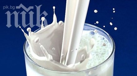 комисия проверява детската градина синьото мляко