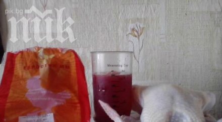 продължават цакат мъж купи пиле размрази събра половин литър вода снимка