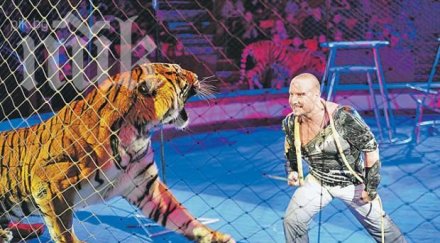 гениални любовни съвета от… дресьорите животни