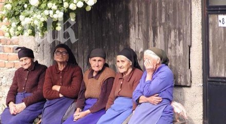 гардове учат баби ловят крадци