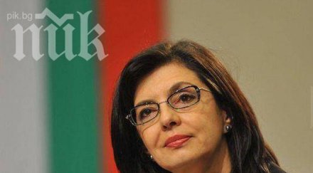 кунева иска надпартийно споразумение икономиката