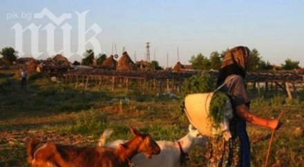 селата видинския регион изчезване