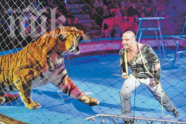 6 гениални любовни съвета от… дресьорите на животни