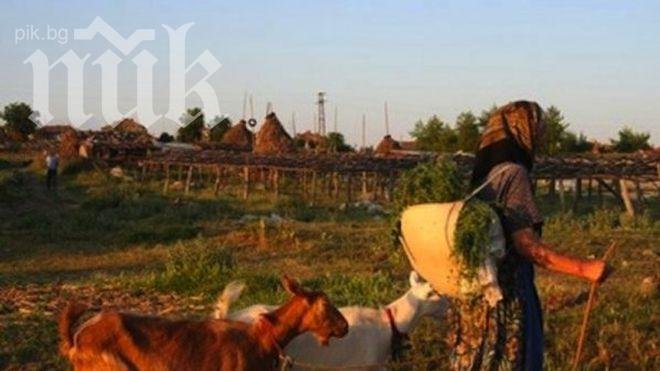 Над 80 от селата във Видинския регион - пред изчезване