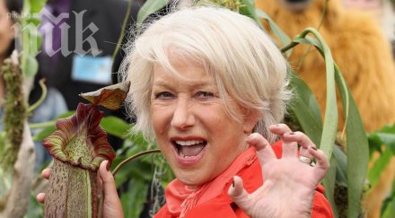 жените секси години