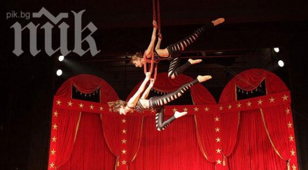 александър балкански циркът трагично състояние