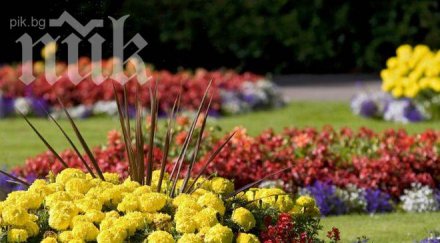 унгарският посланик поднесе цветя паметника полк стефан дуньов чипровци