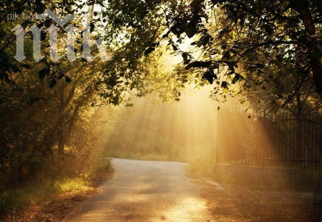 Метеоролози от БАН: Нова температурна аномалия в България! Студът свършва внезапно! От понеделник - лято и 29 градуса!