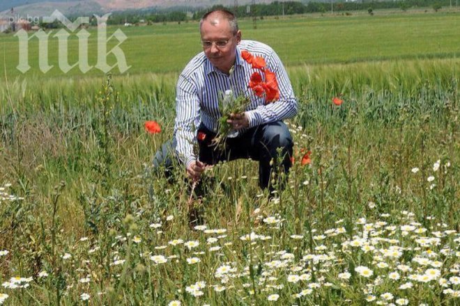 Станишев като Кашпировски! Агитира за евроизборите с видеообръщения, пусна първото във Фейсбук