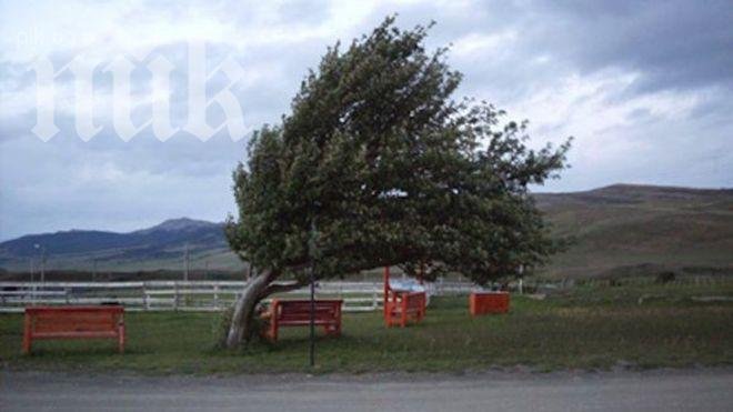 Метеоролози от БАН: Утре ни връхлита ураганен вятър, живакът удря 22 градуса