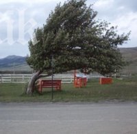 Бедствие в Благоевград: Ураган отнесе тавана на поликлиниката (снимки)