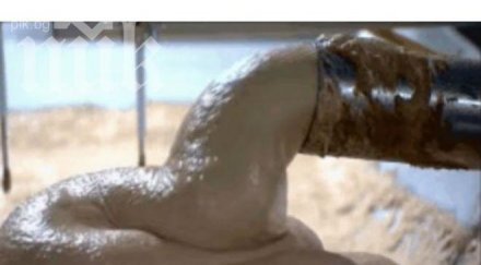 правят кренвирши вижте видеото повече никога вкусите