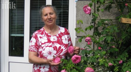 врачката стефан данаилов знам изчезналият самолет