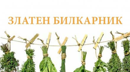 рецептата баба ванга плъзналите вируси меча пита христов трън