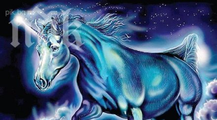 годишните цикли определят живота научете повече тях