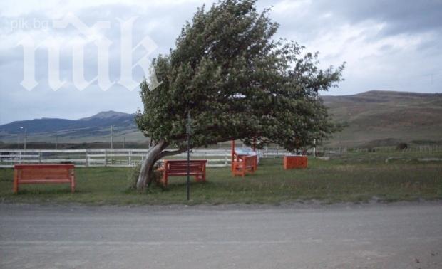 Бедствие в Благоевград: Ураган отнесе тавана на поликлиниката (снимки)