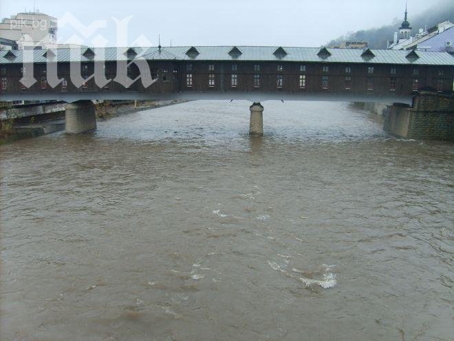Живак тече в Русенски Лом